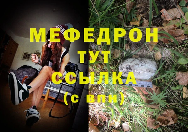 мдпв Семилуки