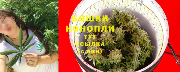 спайс Вяземский
