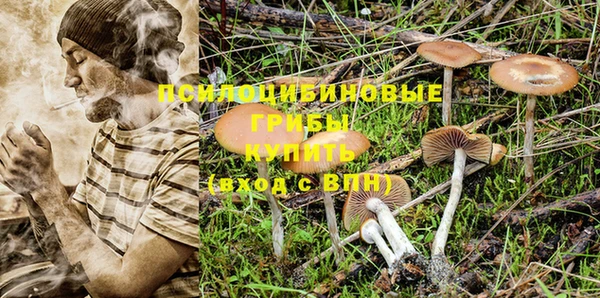 гидра Волосово